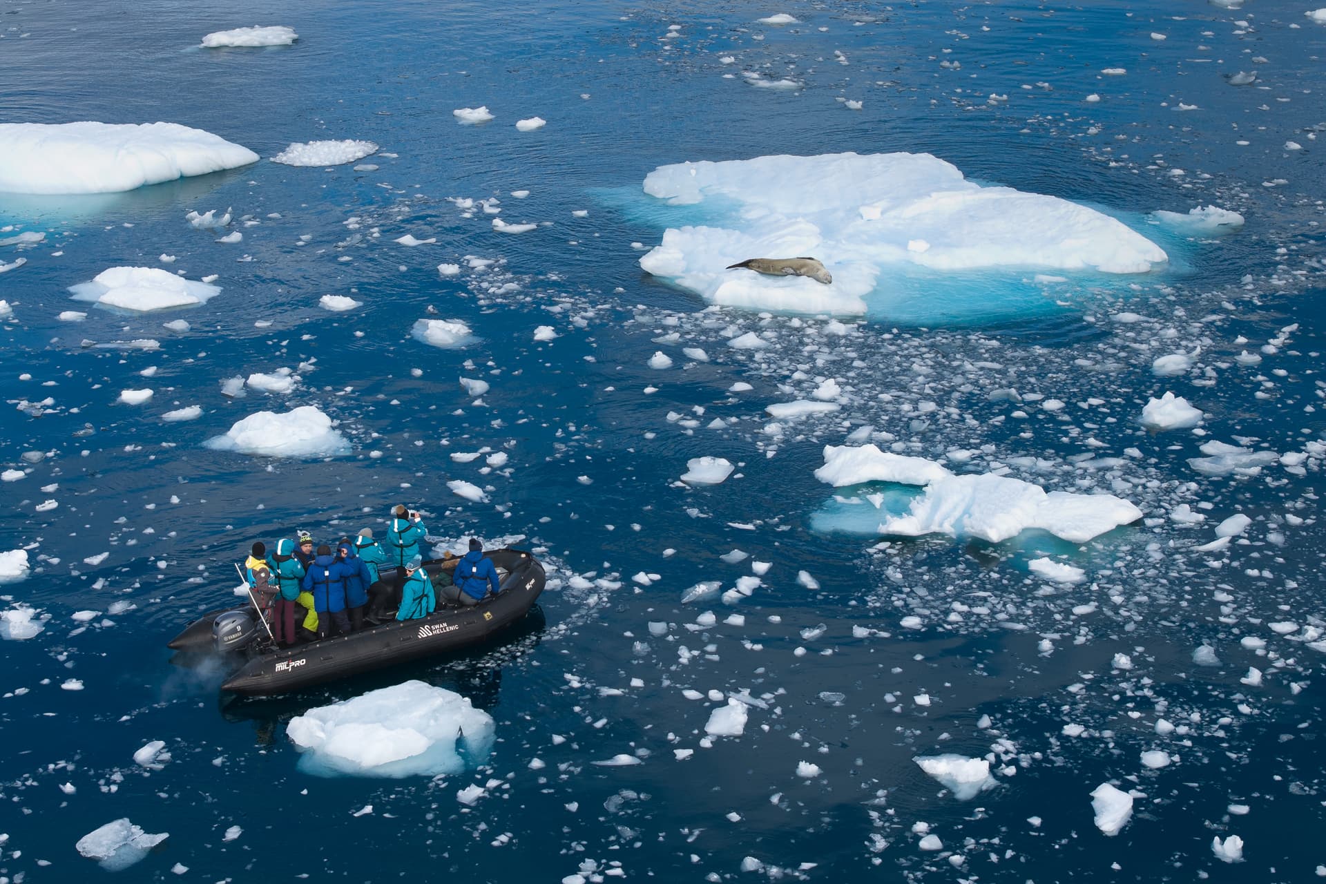 Feature der Financial Times über Swan Hellenics Reise nach Südgeorgien, zu den Falklandinseln und zur Antarktischen Halbinsel