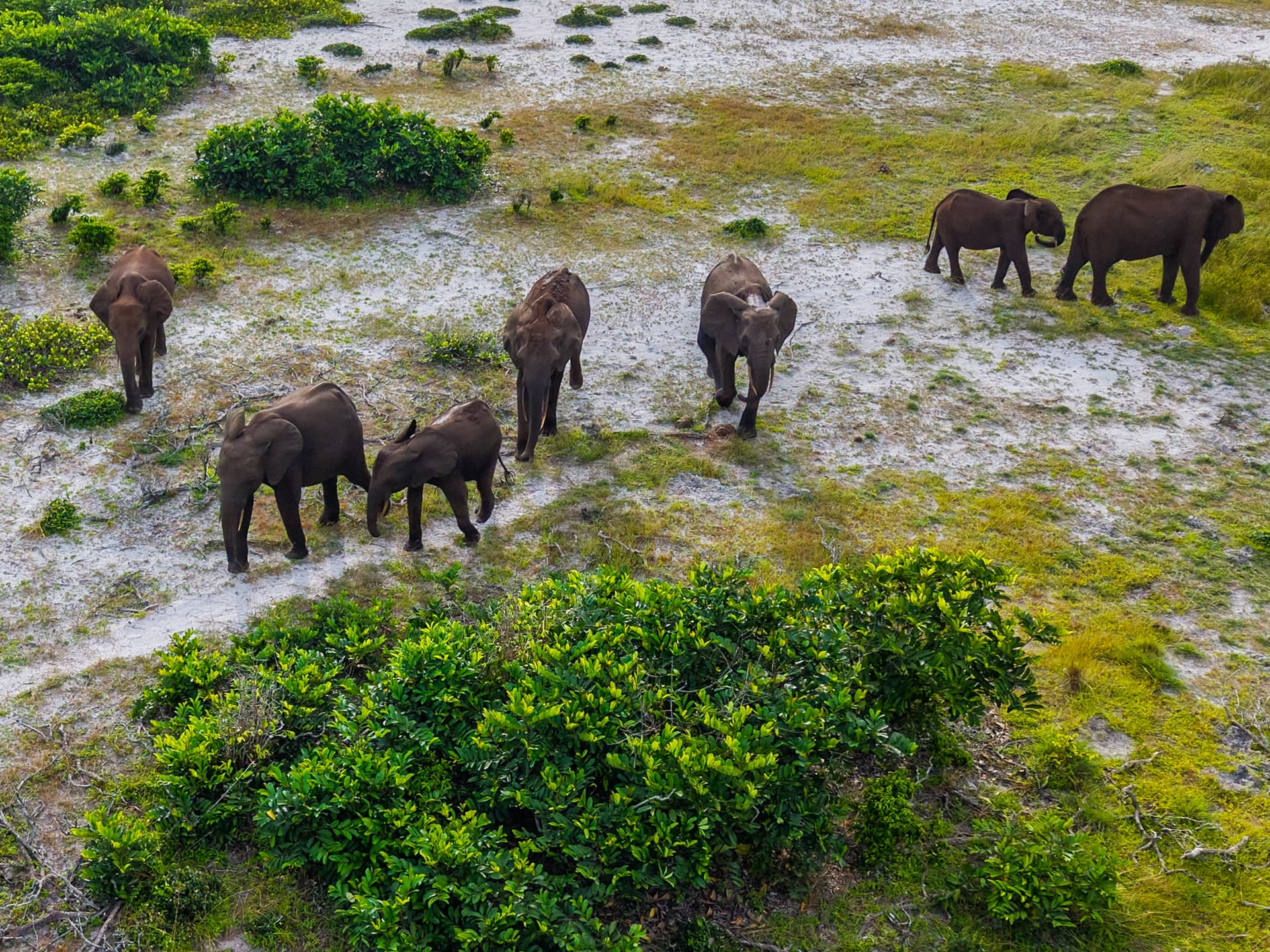 Nature & Wildlife Reserves 1