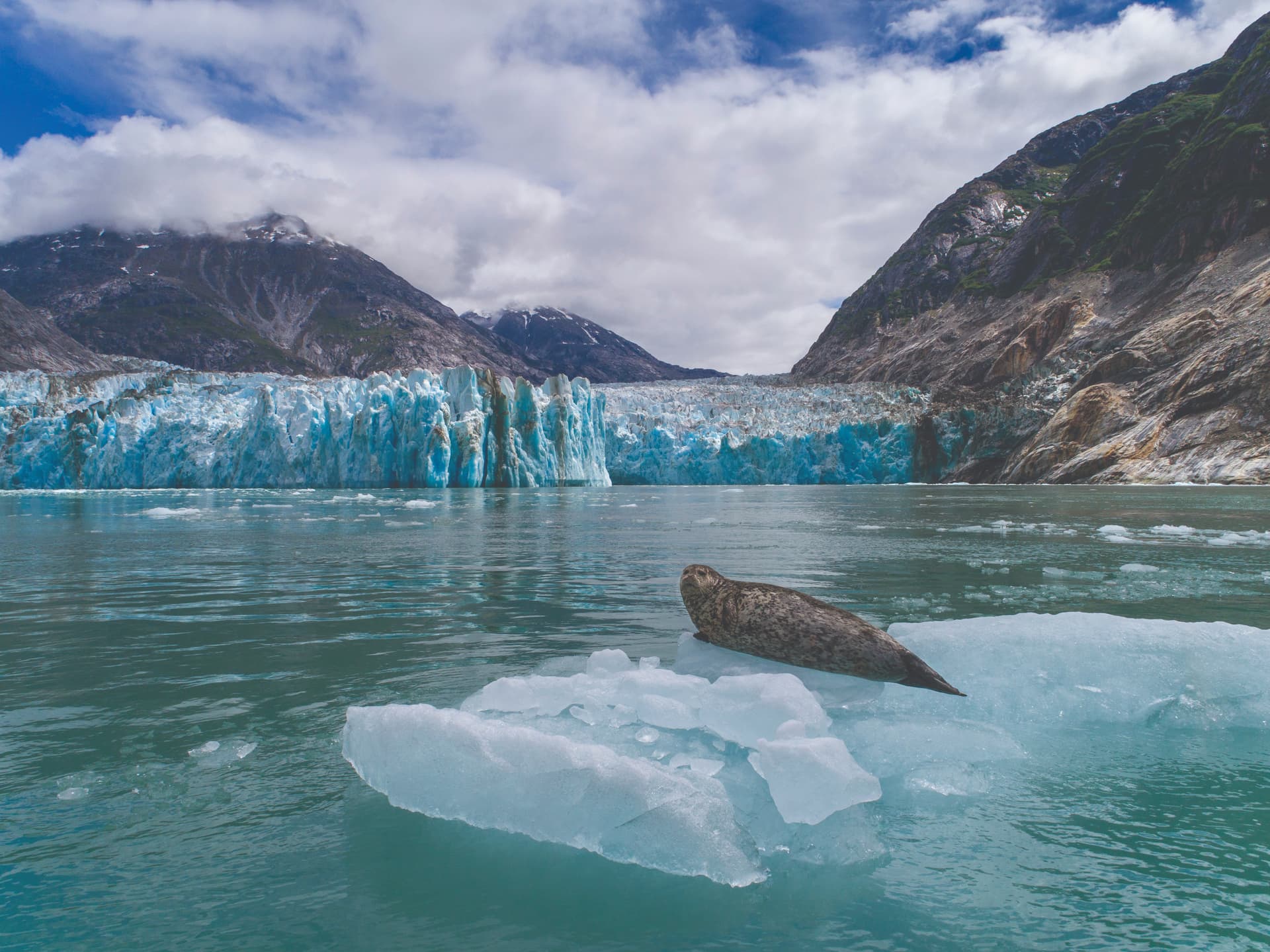 Wie viel kostet eine Alaska-Kreuzfahrt?