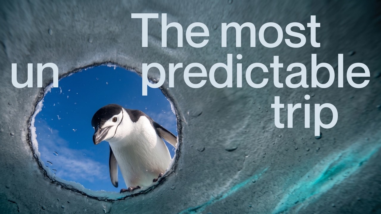 Antarctica: 5 Things to Know Before You Go