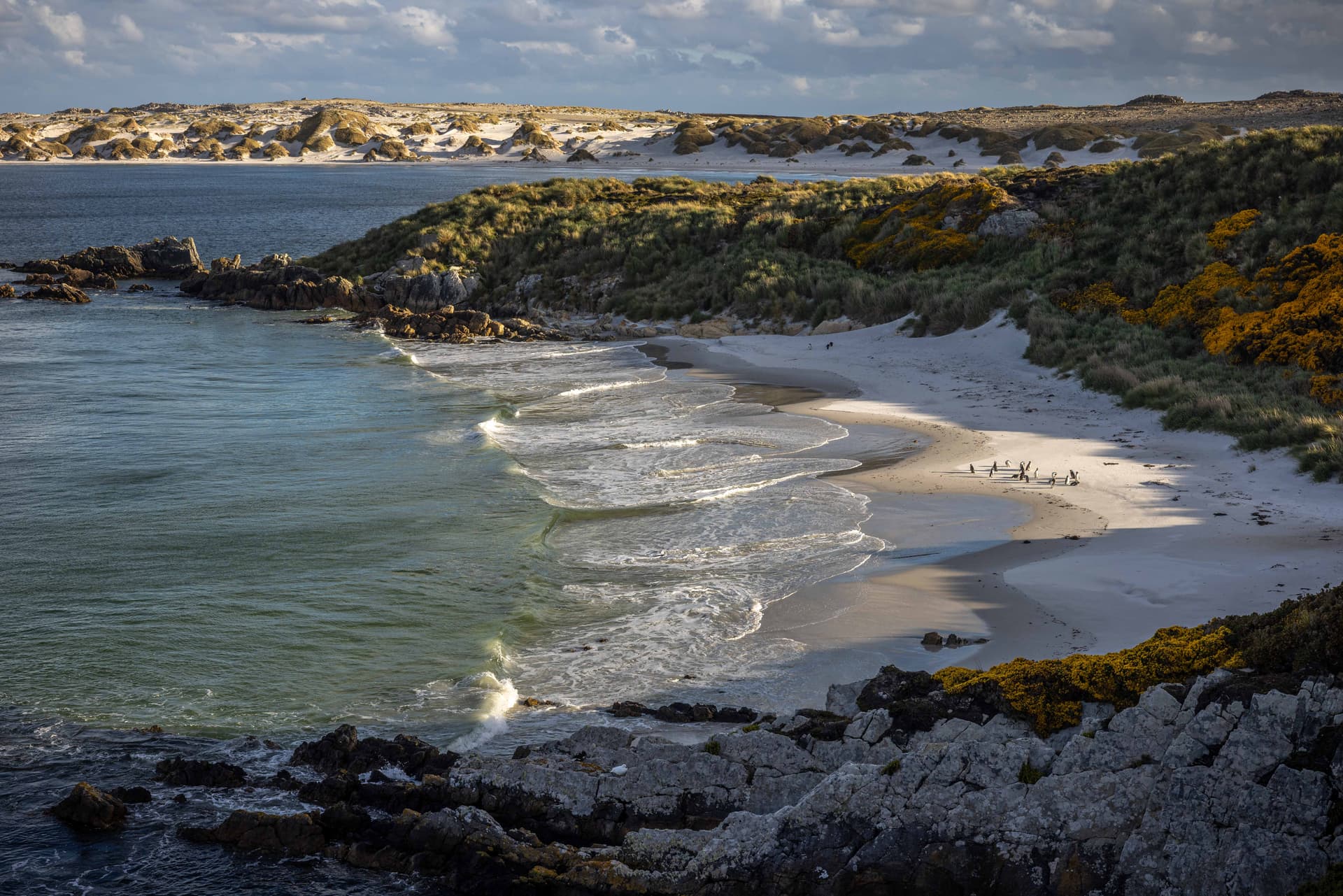 Sulle orme di Shackleton: Isole Falkland, Georgia del Sud e la Penisola Antartica