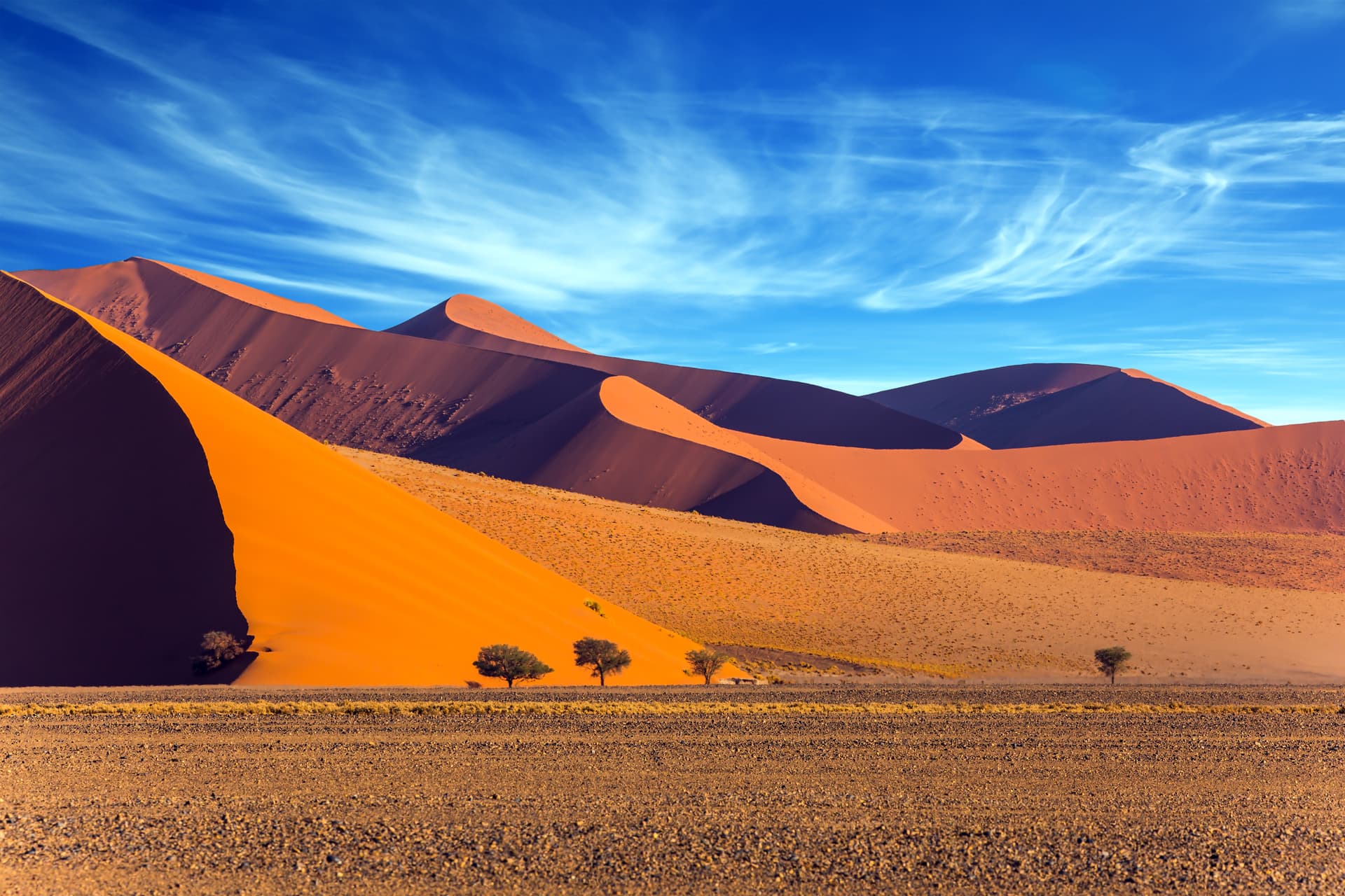 Africa