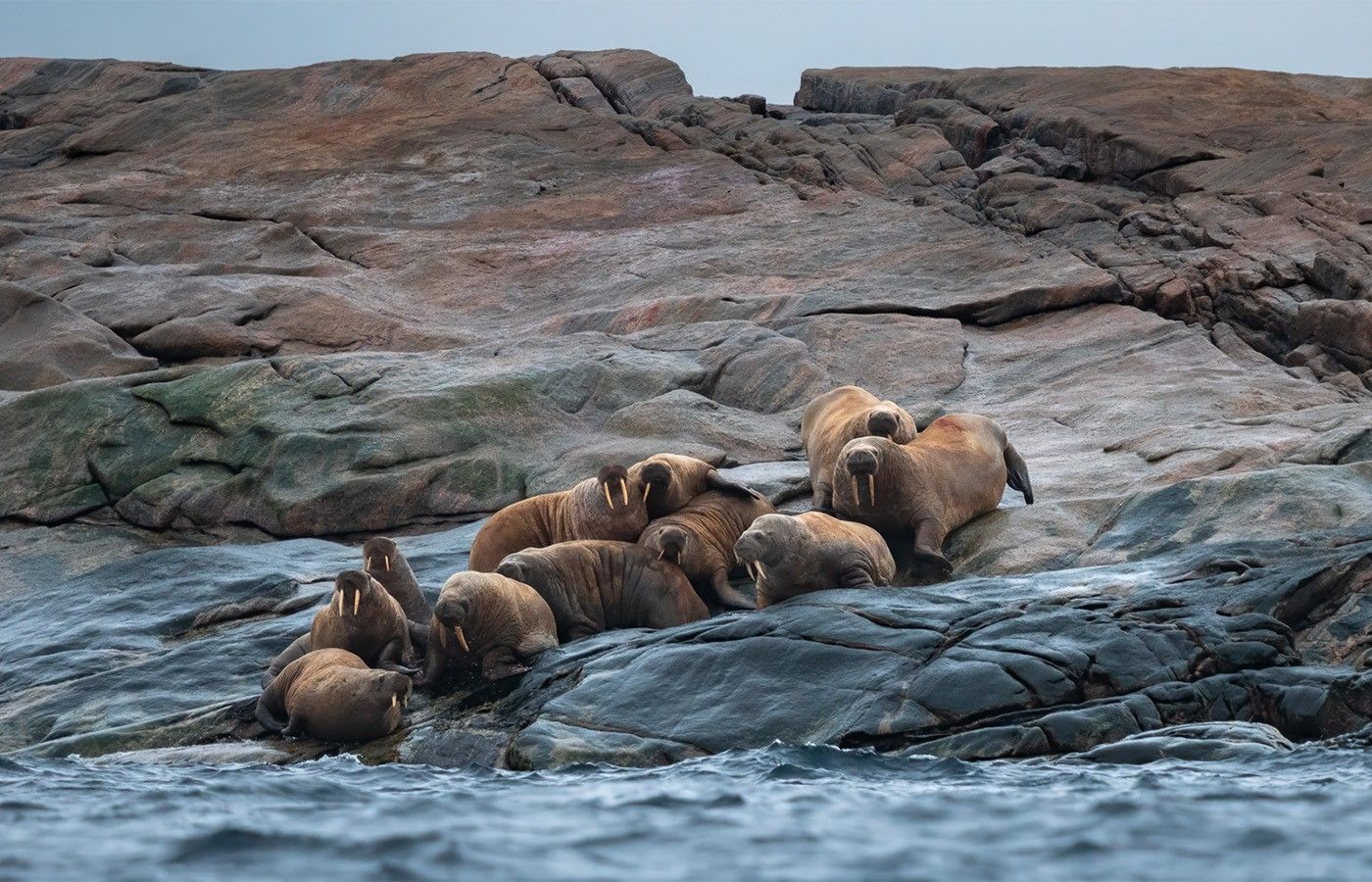 00565f4c3cac1706a518d82db37d15f58b6f8675