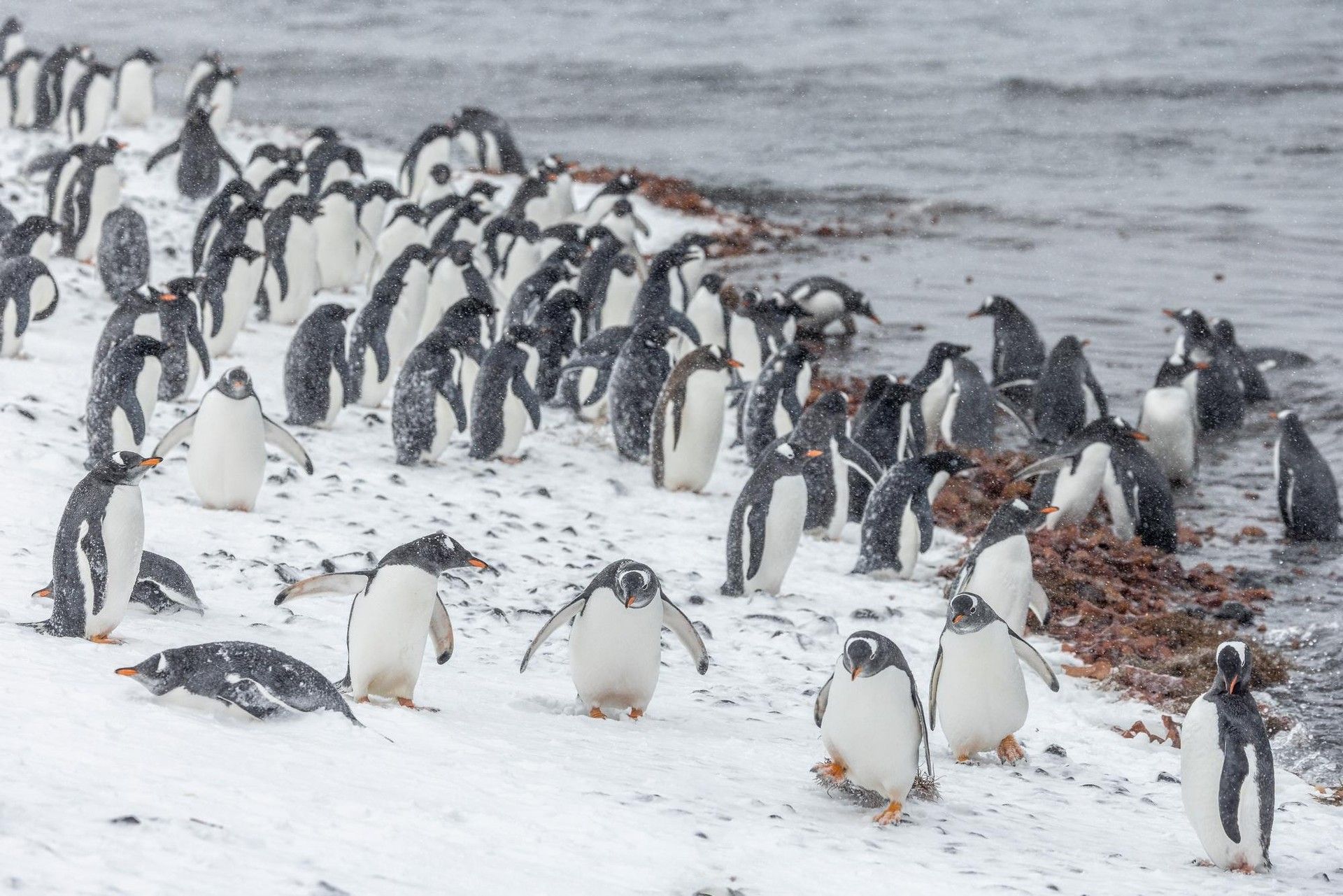 05e46e5b35d9da370d04c764cc7089b84c083498