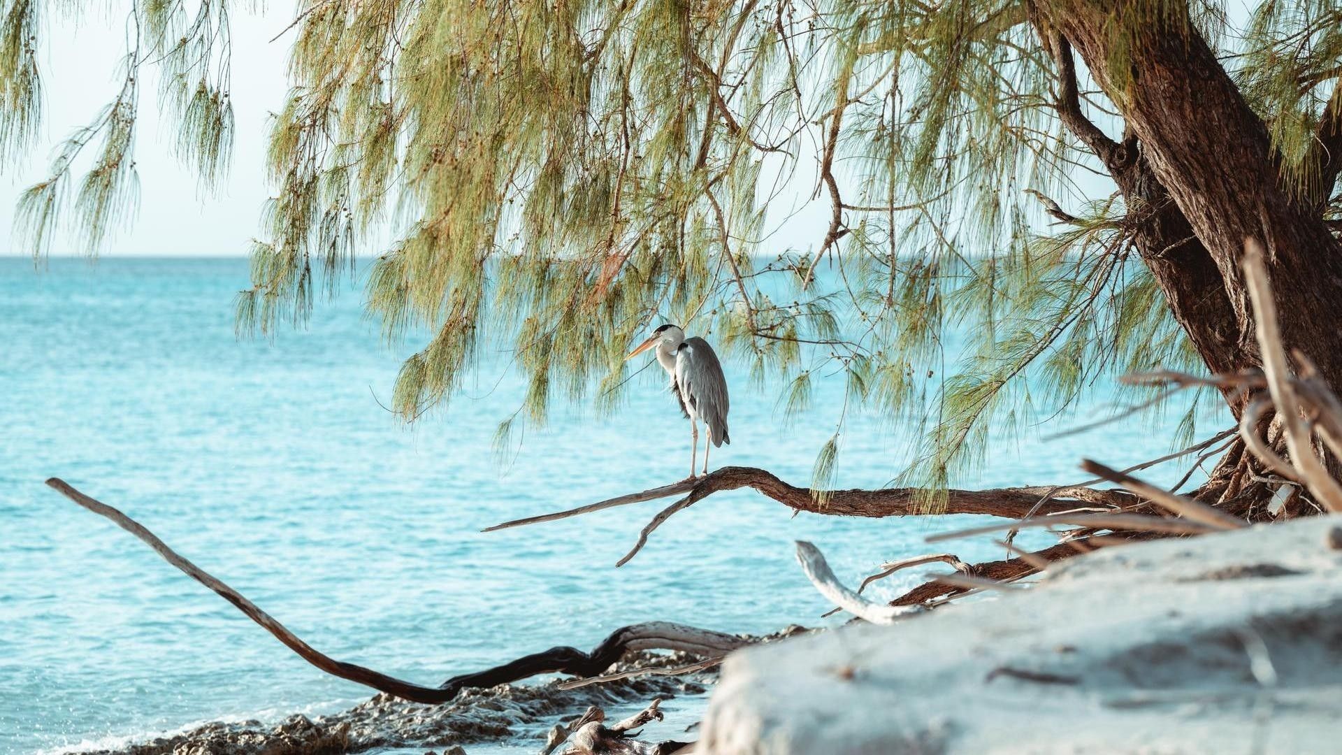 0911ba64ae8e5b042cc81ff4e32008aa6446b0b1