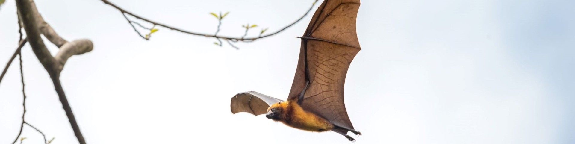 0c1d65bbf196bc6879ed17a8e6d7c62d611a6d91