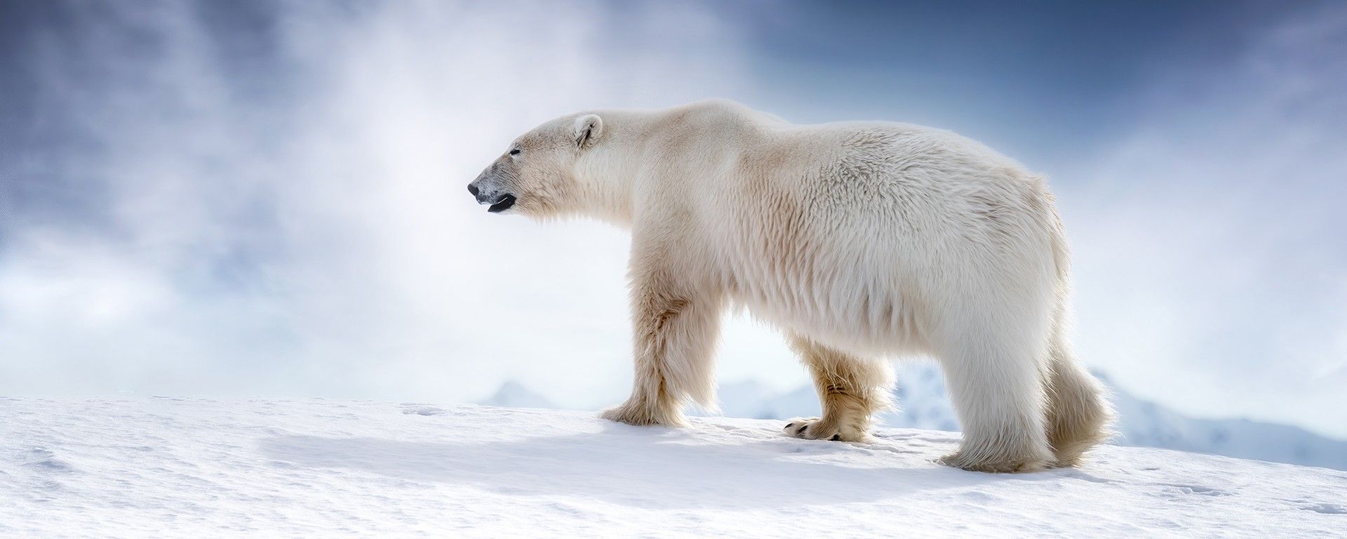 Heart of the Norwegian Arctic
