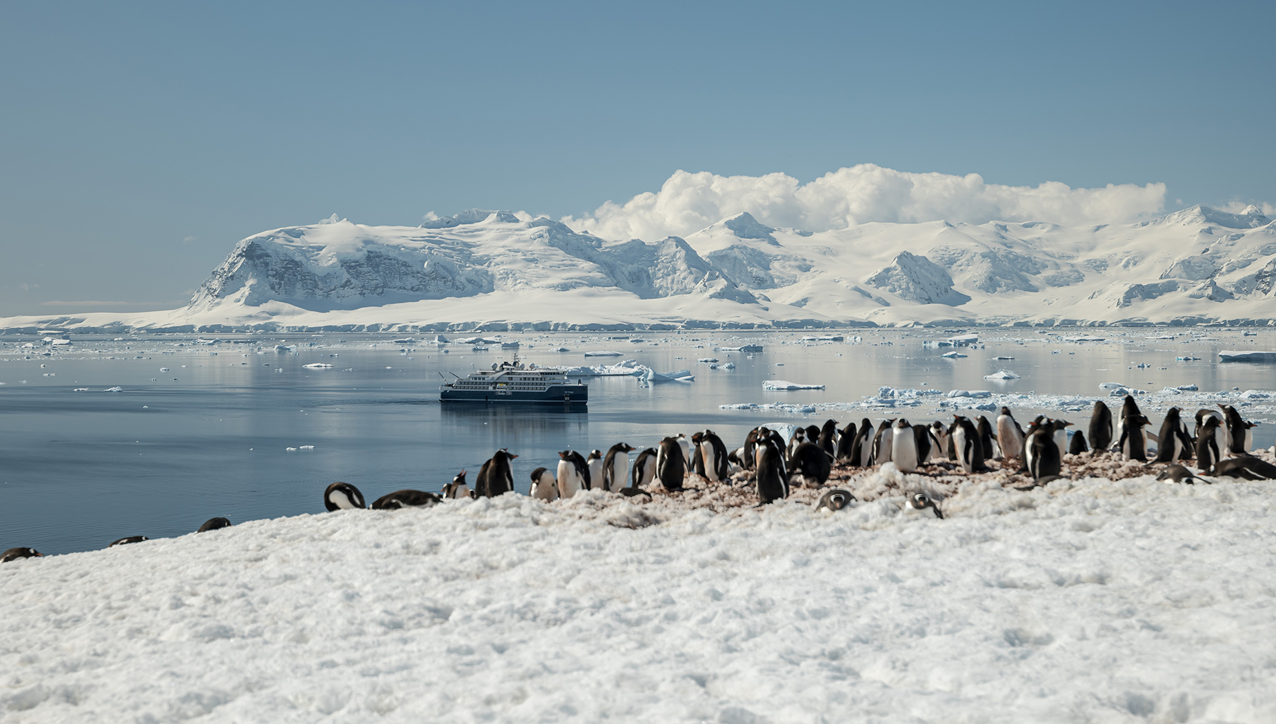 Antarctic Peninsula Discovery
