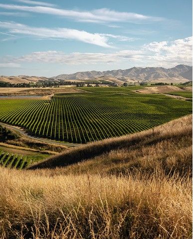 1e6c3cebc5aaf7796e1323306011ed30ade223c7