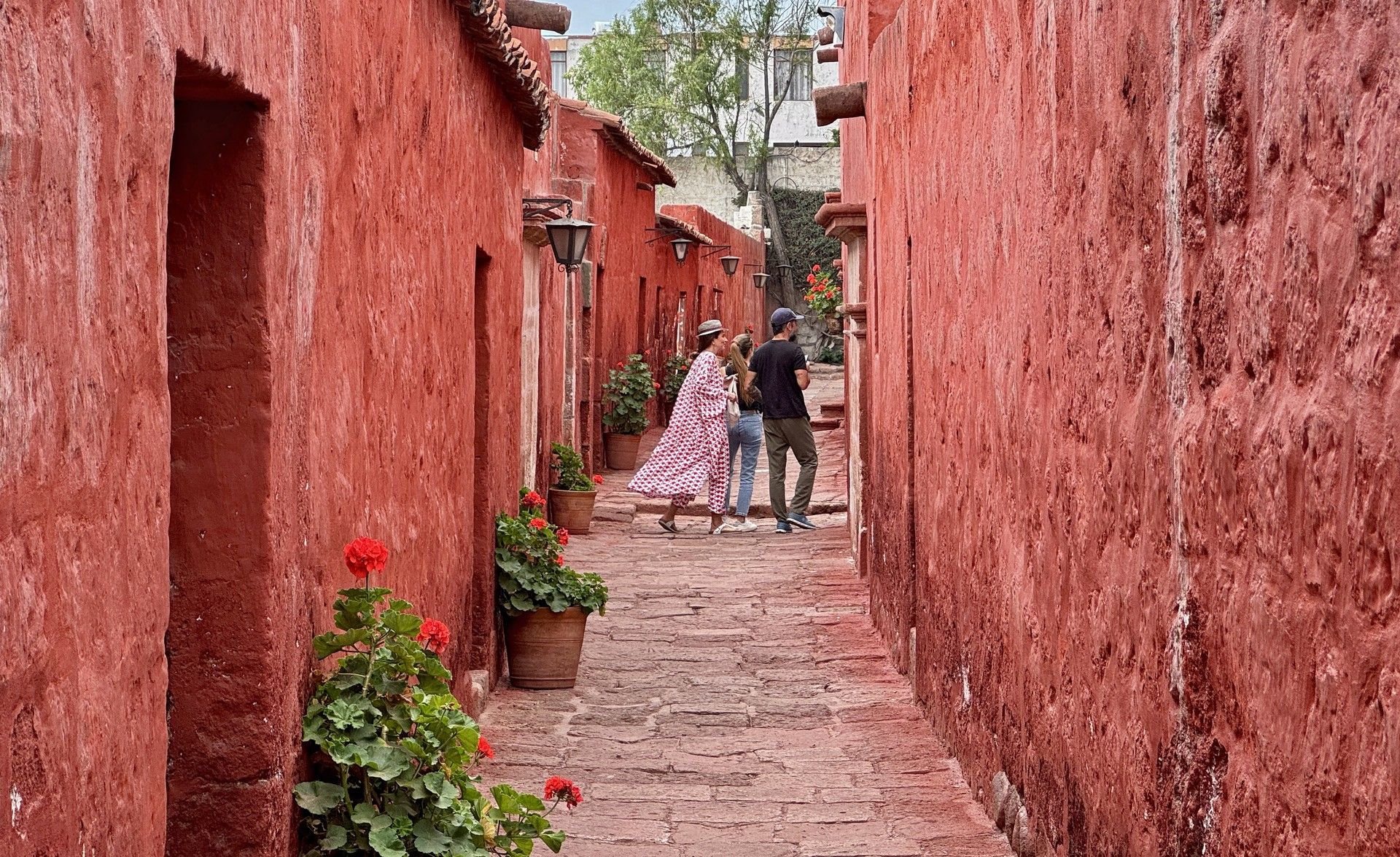 24867701d63a0e805e89d10d5cf413d43cc67664