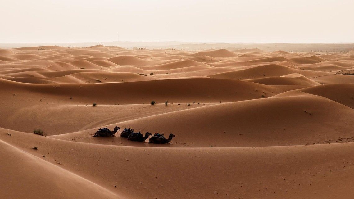 2c05ecc4734c9255064b13828a775e5d24788c71