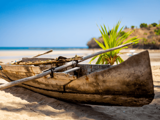 2c660838bdc334f4c9f559163deeb5356098ff60