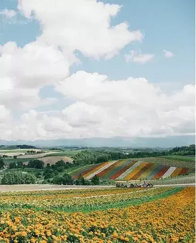 2cad8cbb96cb37eb9fed2ef0bdfb1cf2cba8536a