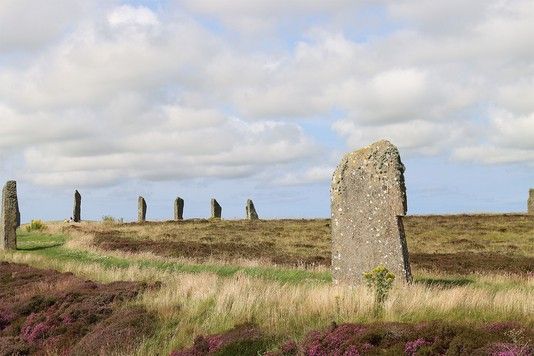 2d1063e09954ffbae1d7b6a22122efa0e3fdc8dc