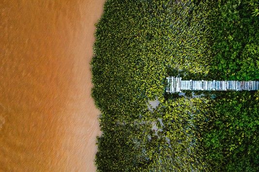 31c93b99cf070e9dd8ce045cd870b717bd27b1b5