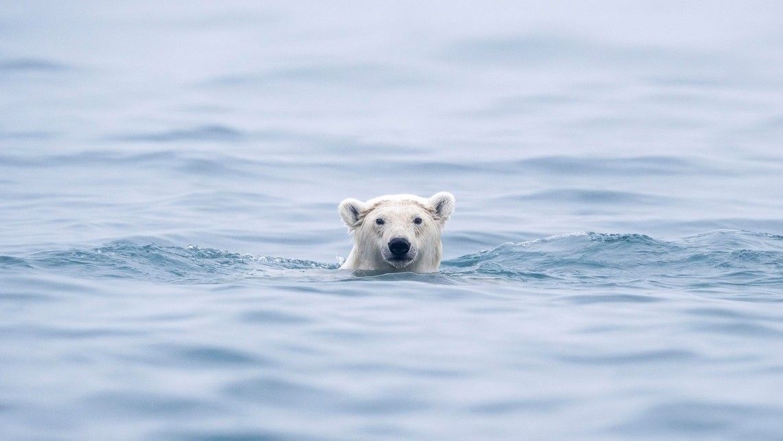 32dc8799d482c6a95ed27d9aeefd0e0a04603c51