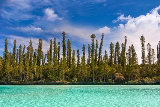 350df2fa8729d6c2dab319573bf39b61afbf3ade