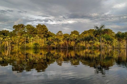 3703635fe2d6c3f7f2472a6682de2ee1624857d2