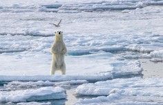 3949924ce45df0a9b00a617f6efef6be5fe83220