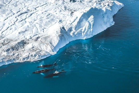 3fb0caad19a4691b40216dba789cda393e0258ce