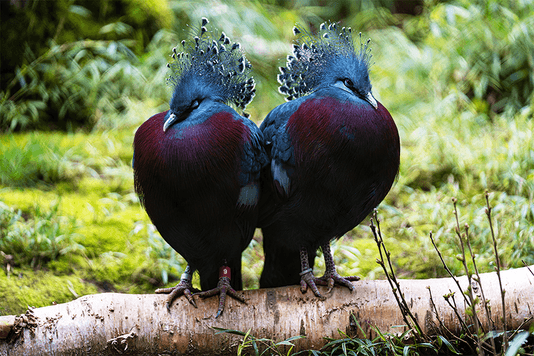 4073516dc15d197deb090d21c68a25b116df1a48