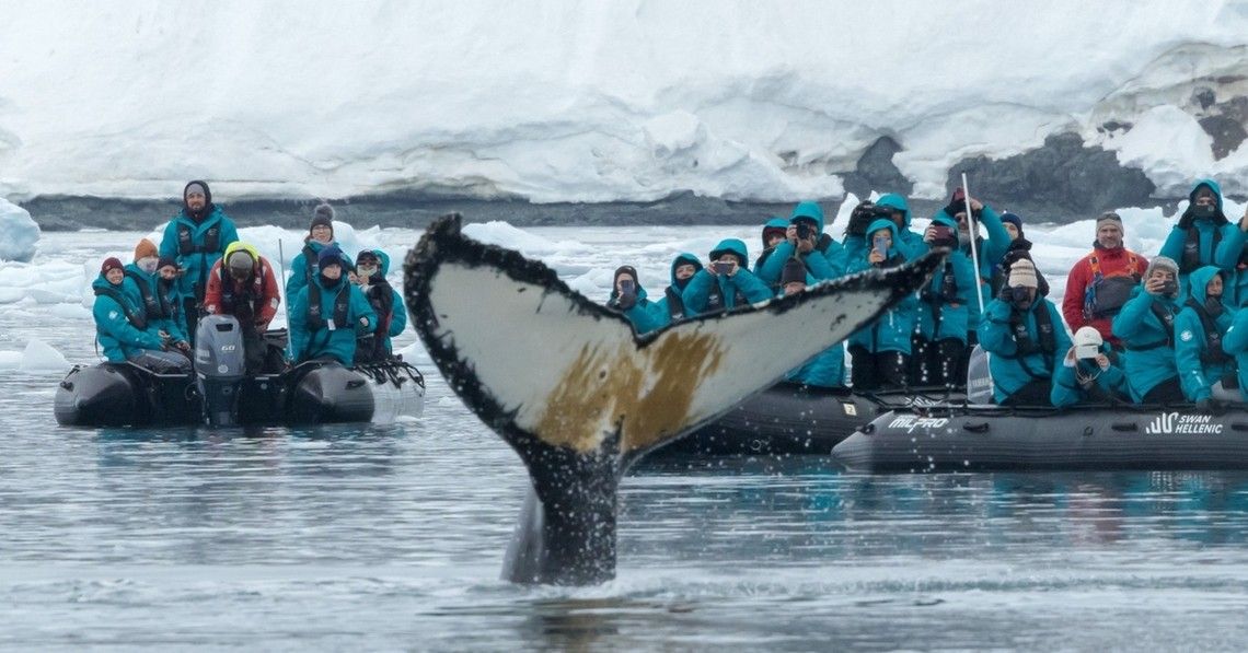 42c228f0cf6c1bee2b6100ff0abce21ecb7b1b11