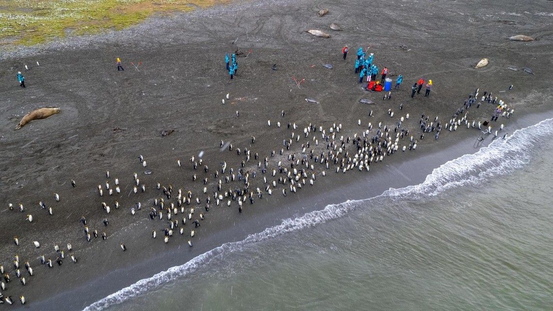 435c238a116232d0a245fa7abdfbf4b88355141e