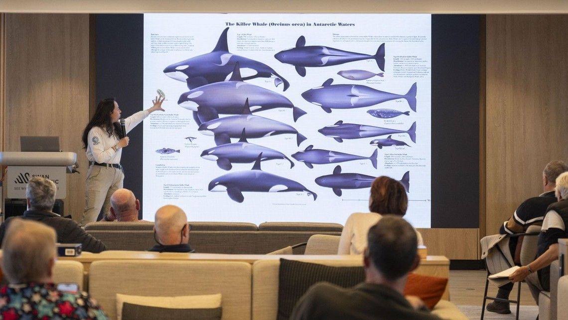 4377c86c4846128ea018900a69c68dead2522ee1