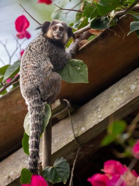 438b5df9933e8ad97c80015298a7b518ce96a25c