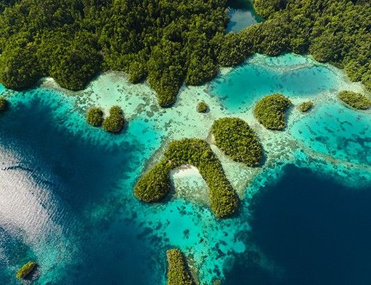 463c9213b18eb62014883c6a4cadaa7203a2f93a