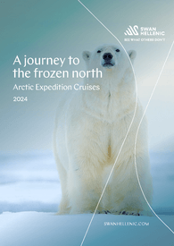 The cover of Arctic 2024 catalog for Swan Hellenic cultural expedition cruises, depicting a polar bear in the snow
