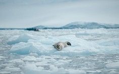 4d6d0685a081c9d43f2846b843868b5614962bc6