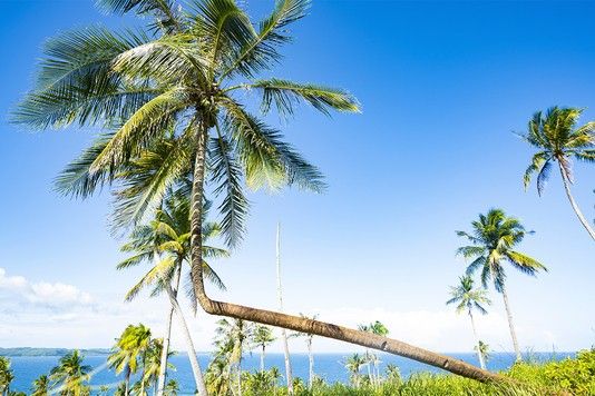 4e5245f0bdecc65af2ce05139a39c12305311e94