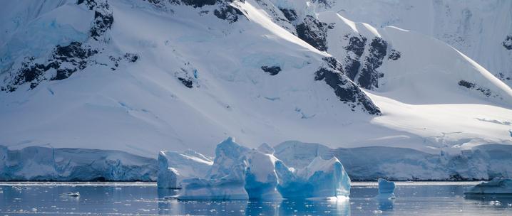 Antarctic Peninsula in Depth