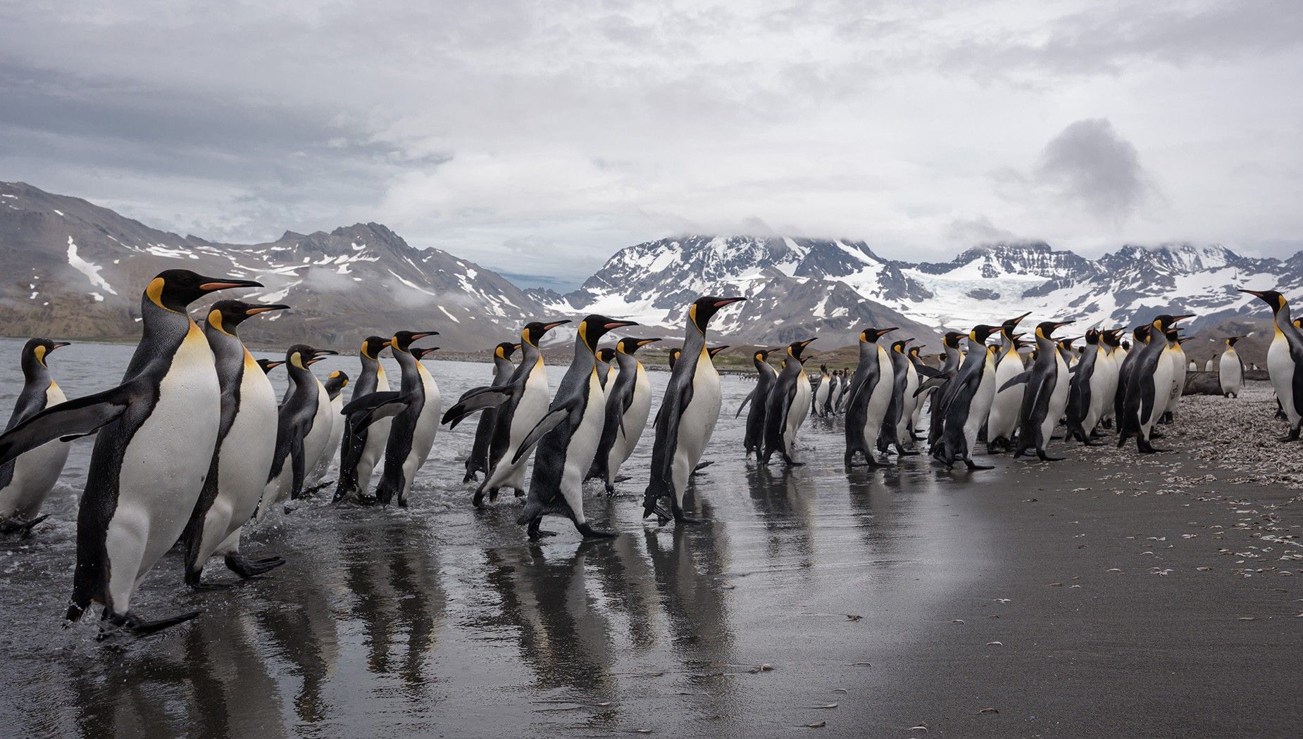 In Shackleton's Footsteps