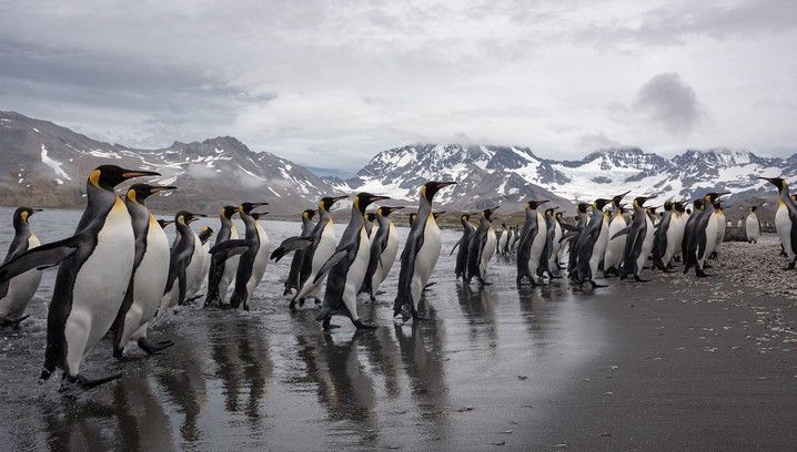 In Shackleton's Footsteps