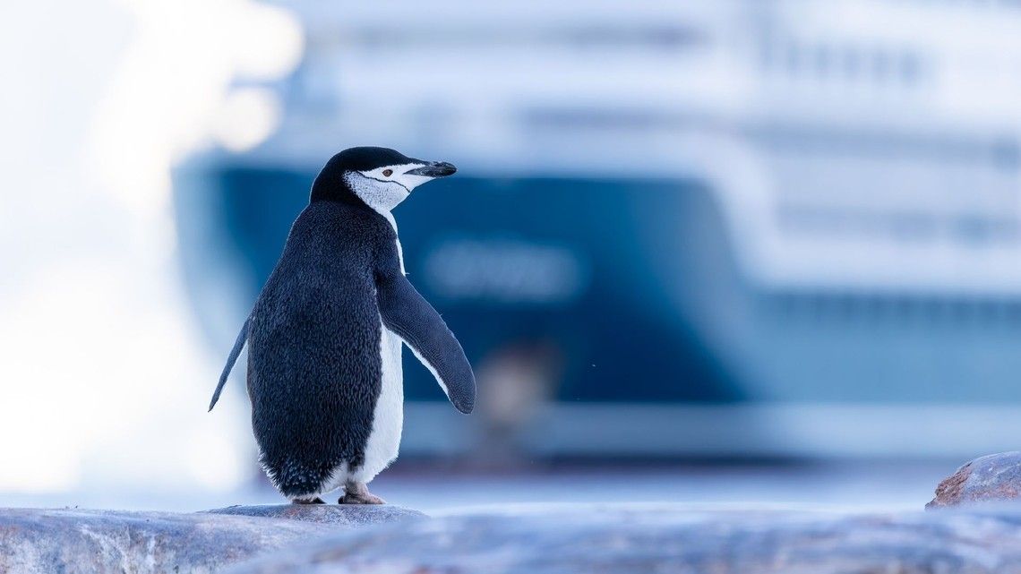 52c82755afbe4d1390d6e0c94d96c477edf0ff71