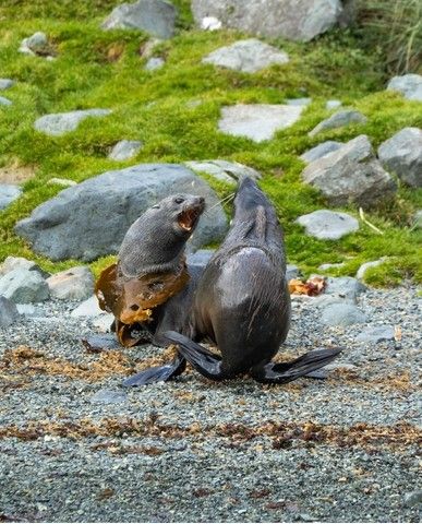 53ba7760ef4600c9eac113a80b062e121bf53bfe