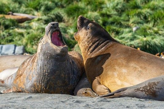 590f524c83cfd7b8d6d9893e8433c8b7e000b1b5