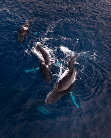 5b1402b84184b118a2f74173d2e5ceb955023ace