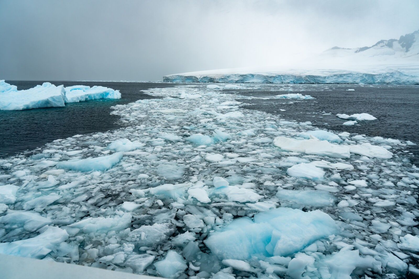 Antarctic Peninsula Discovery
