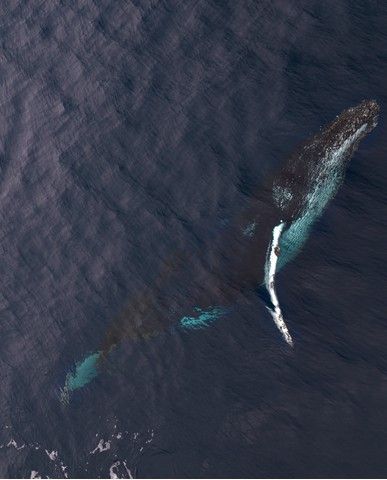 5f4ba206438b92b558d68dee1c344b656f9f1328