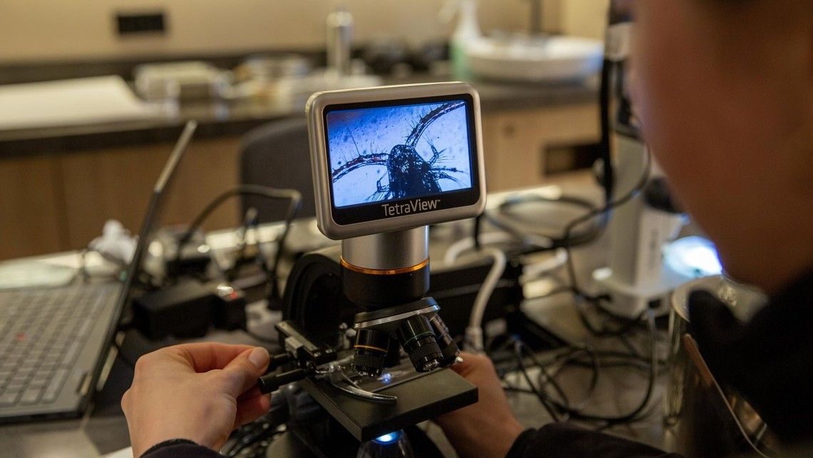 60a0816f0382e096c3f7d521b397c1f46c9757a7