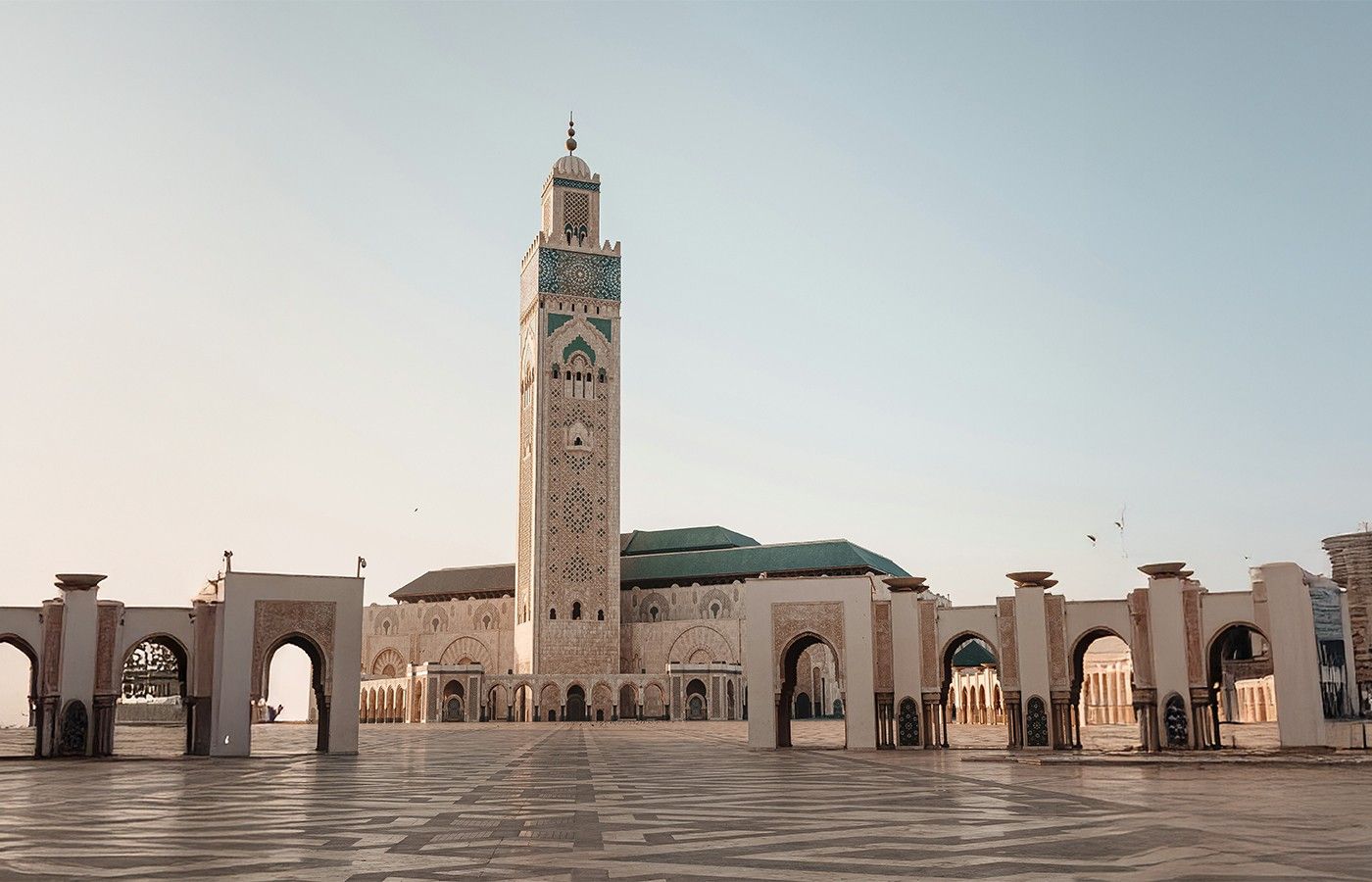 6450fecce8708109d04fda8ed87b91ad318e4544