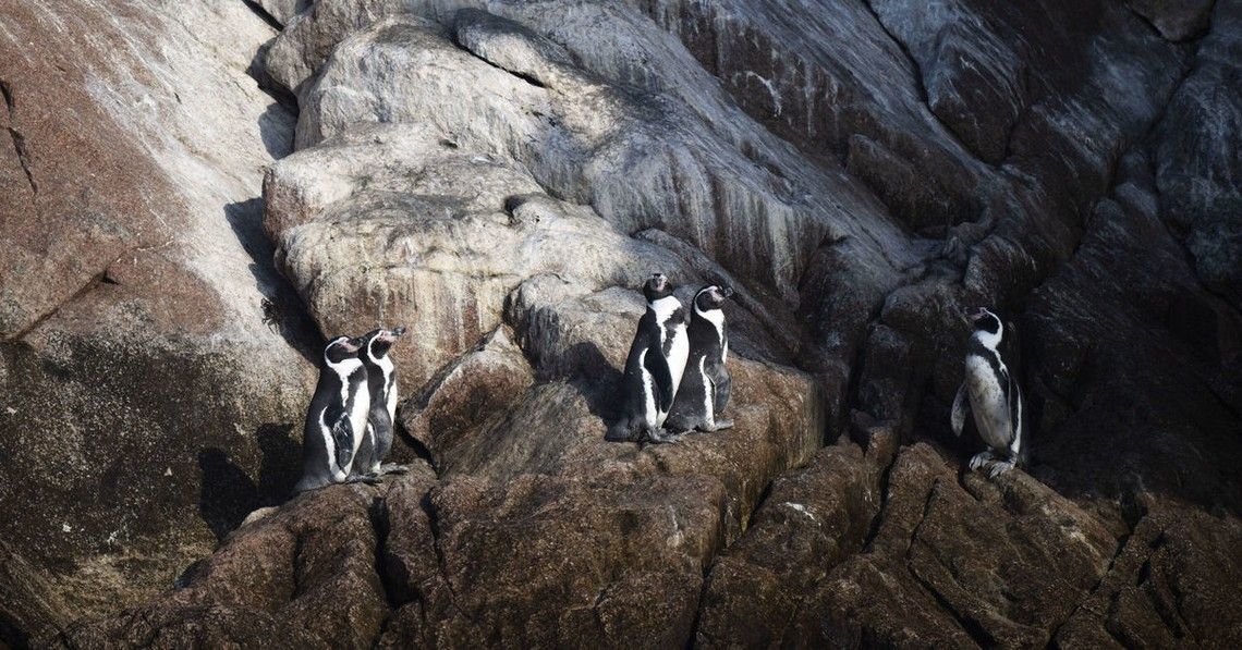 66c694fdb50d891c092dd29537cd505cee47af9f