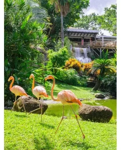 6923ff19ec9fcc1aea75e1339210499b8df6d7d3