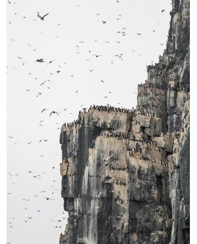 6971789e6ecd5d3e052c2ba4a295cf9f7fc12c08