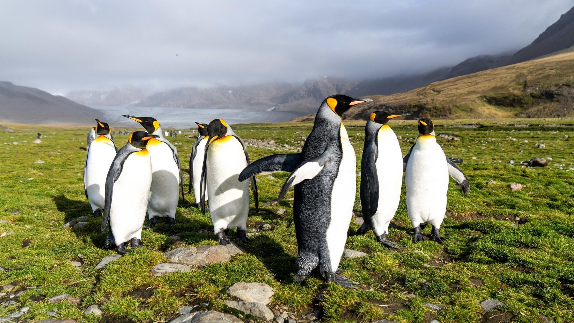 69f12e92c54093ca5e07e4b249fdeb15d1e8a87e