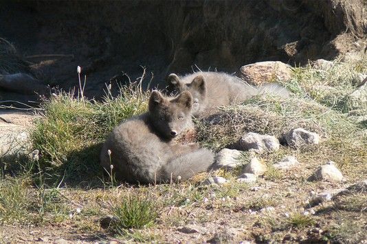 6bc74d385dd45238147d01e73d94b791ba082019