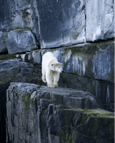 6c30012e3c5041fa9d31ed423f250cc889609386